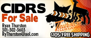 Thurston